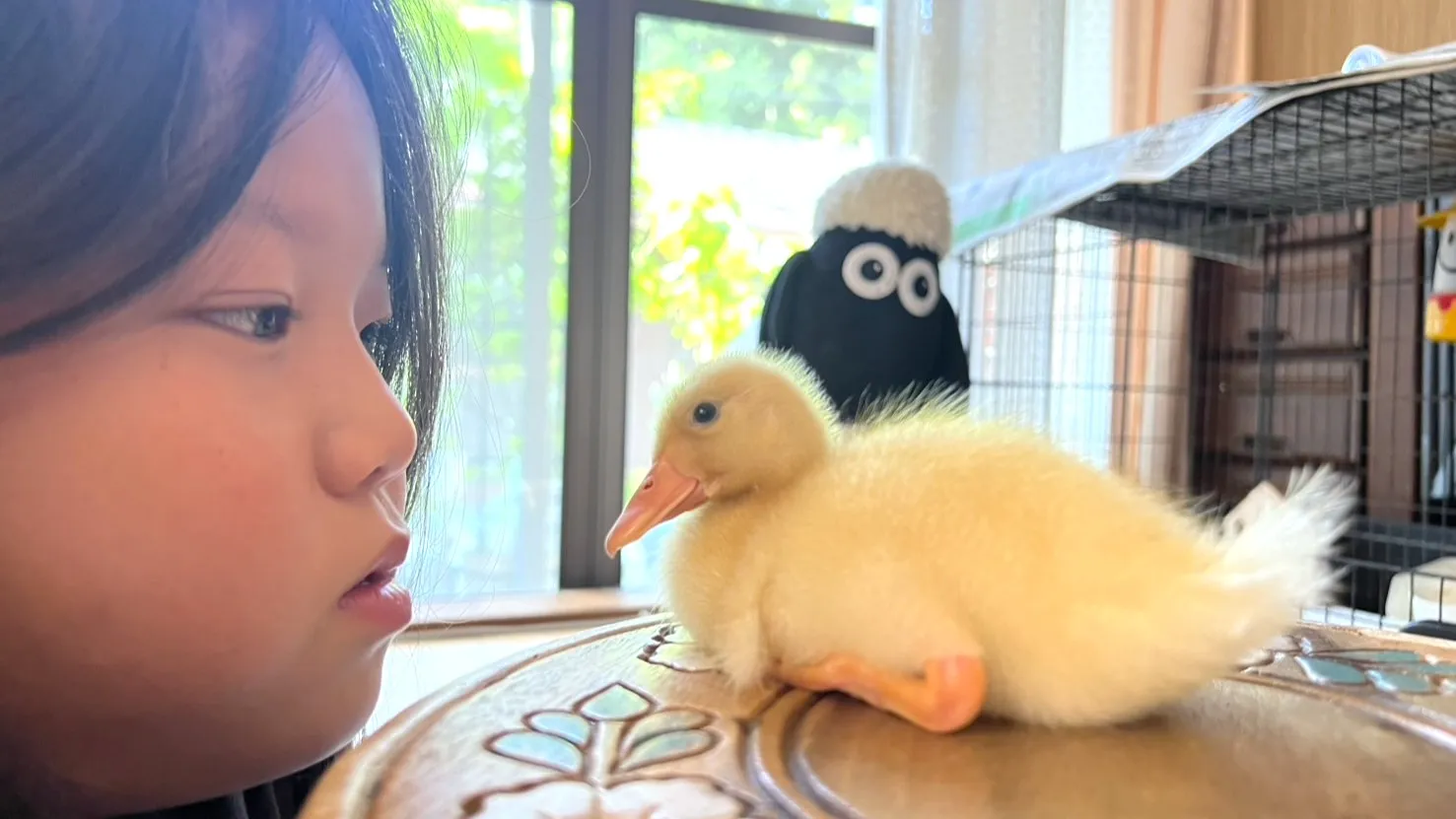 30代女性イラスト