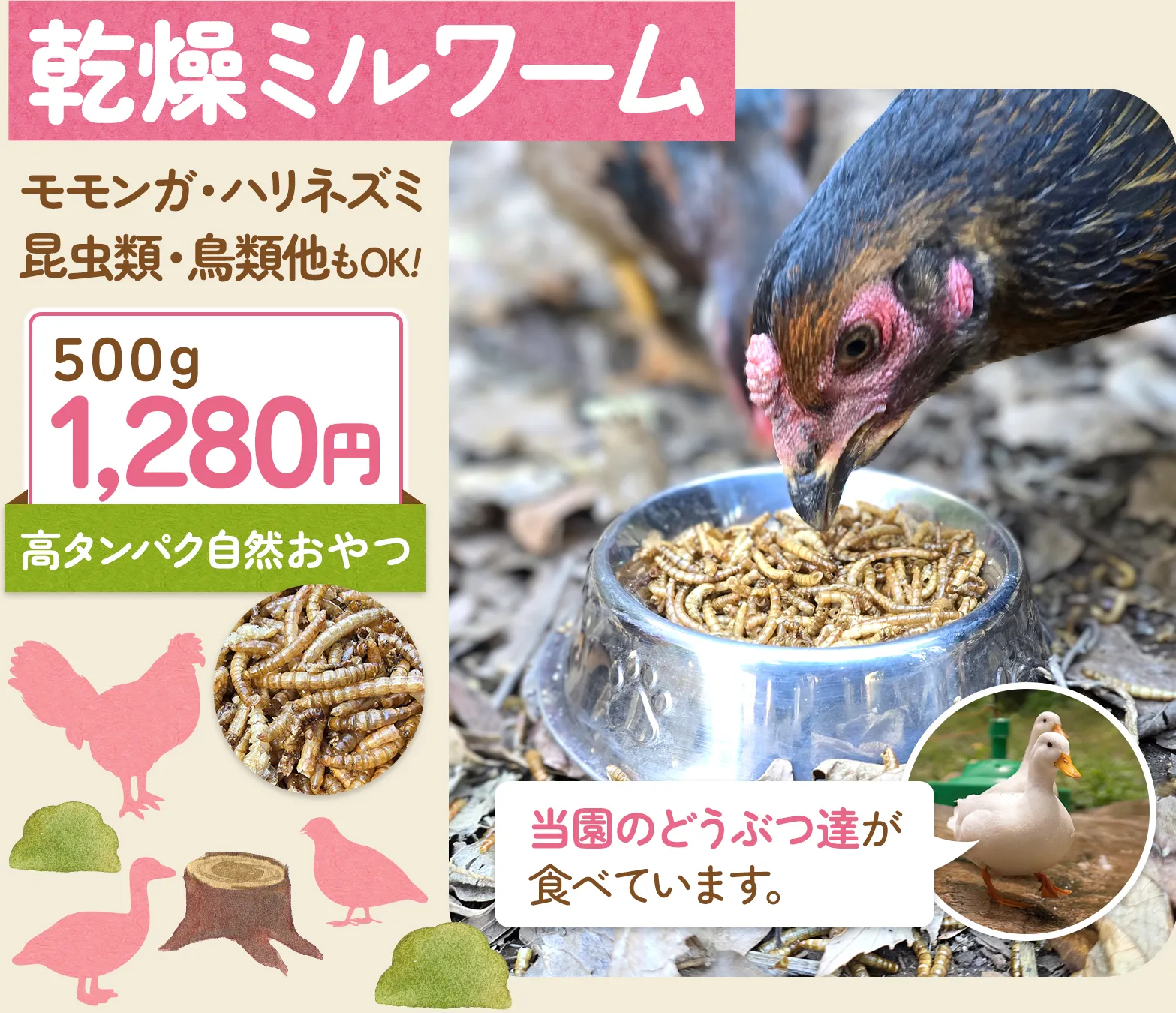 乾燥ミルワーム