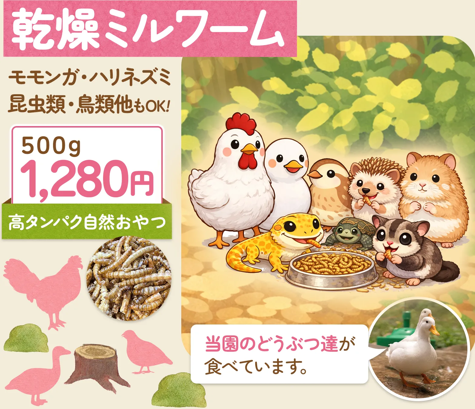 乾燥ミルワーム