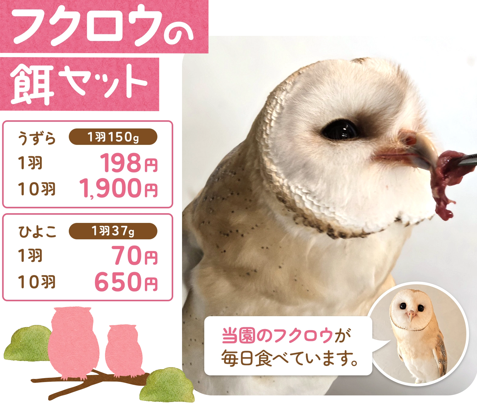 フクロウの餌セット