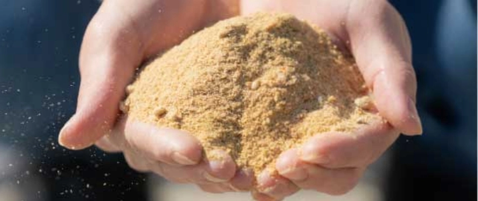 うずらのこだわり2