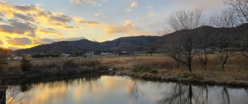 うずらのこだわり3