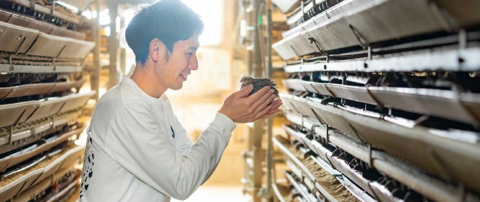 うずらのこだわり4