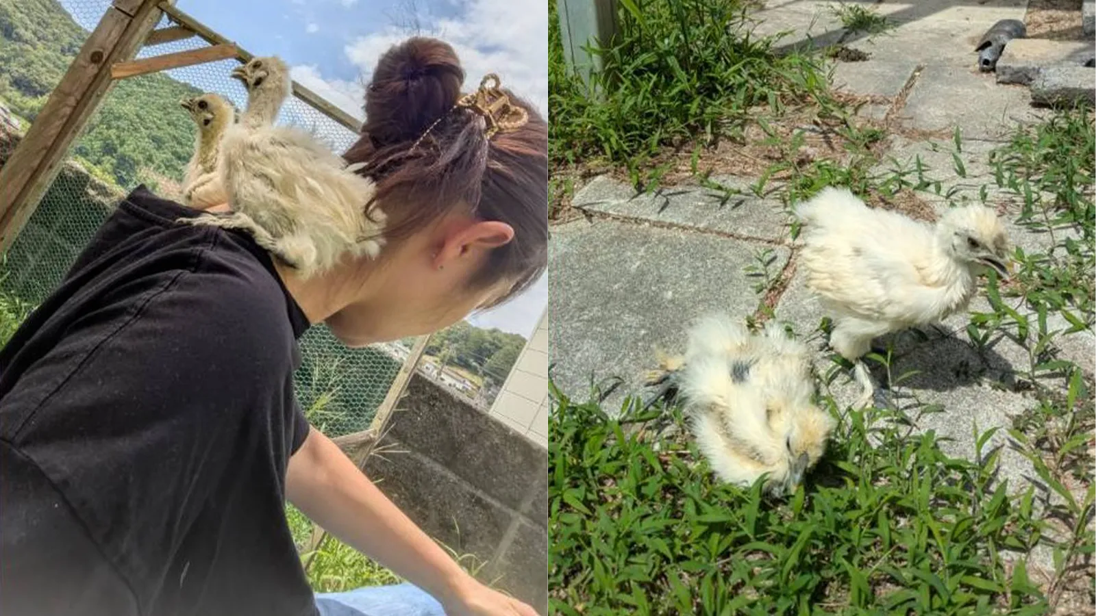 30代女性イラスト