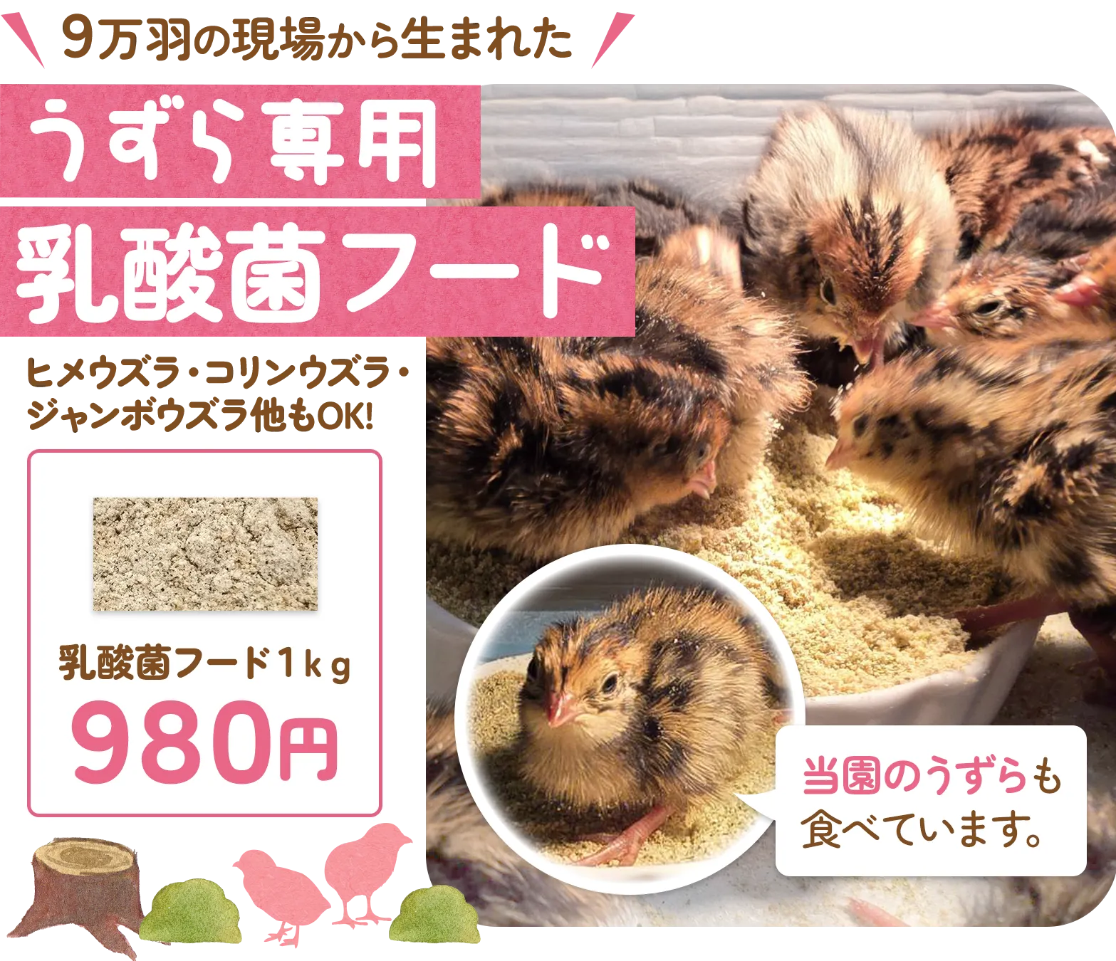 うずら専用 乳酸菌フード