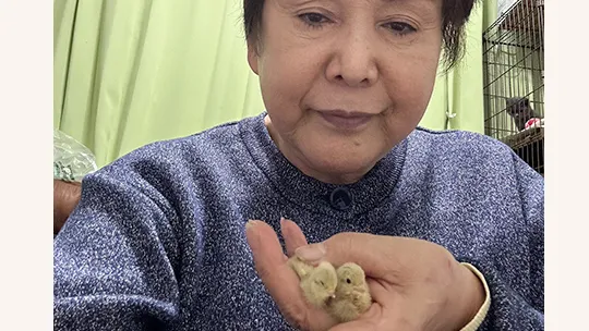 30代女性イラスト