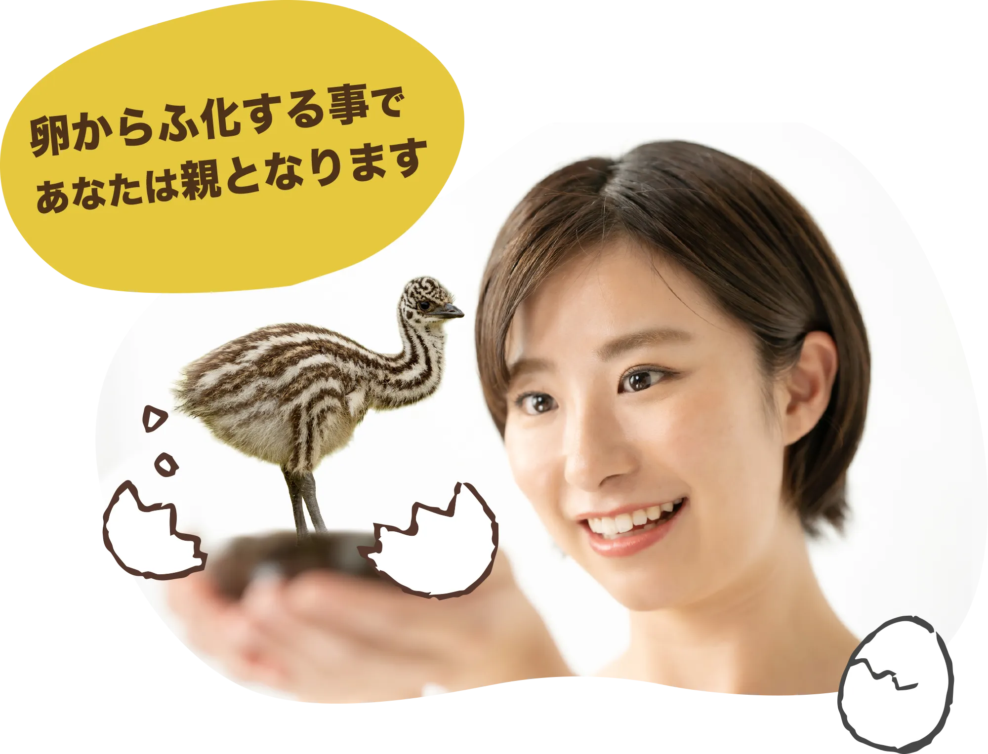 卵からふ化する事で、あなたは親となります