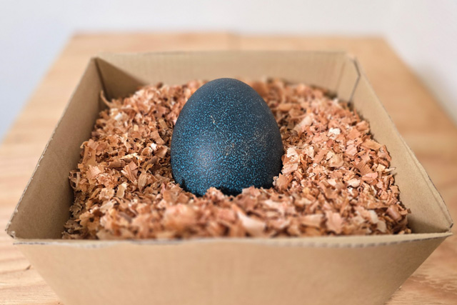 しっかり梱包してるので安心