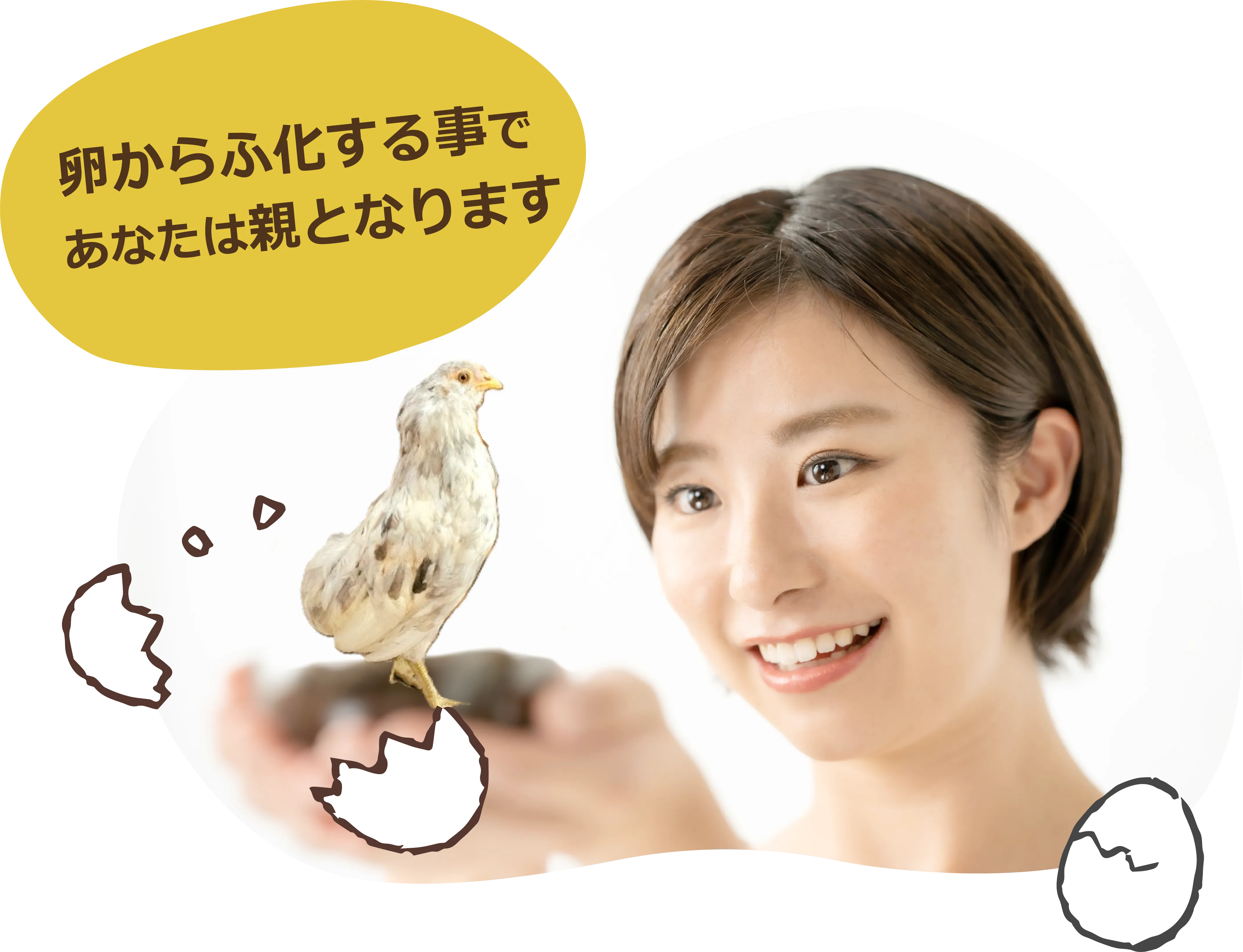 卵からふ化する事で、あなたは親となります