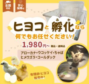 熱海ふれあいガーデンのふ化器レンタル・孵化サポート
