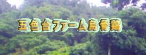 五色台ファーム（香川県・高松市） 烏骨鶏の有精卵・雛 販売店