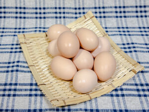 うこっけいふぁーむ こっこ組（富山県・富山市） 烏骨鶏の有精卵・雛 販売店