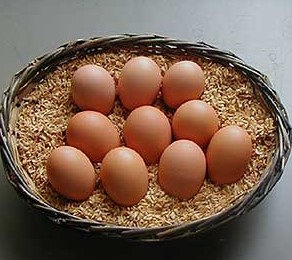 烏骨鶏王国 アライふぁーむ（埼玉県・秩父） 岡崎おうはんの有精卵・雛 販売店