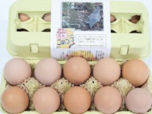 五頭山麓ひよころ鶏園（新潟県・阿賀野） 岡崎おうはんの有精卵・雛 販売店