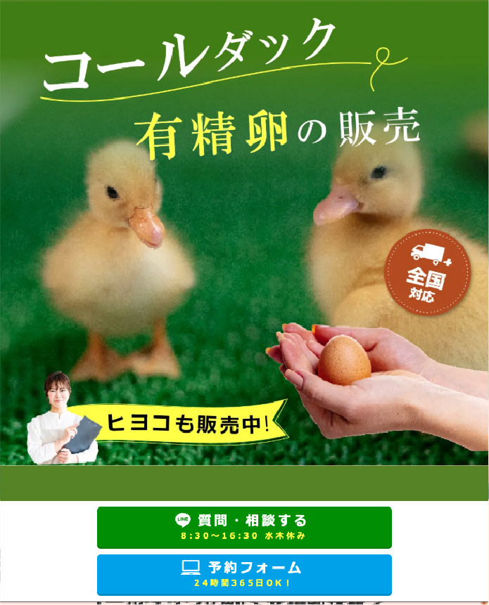 ウコッケイ