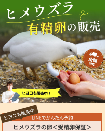 コールダック