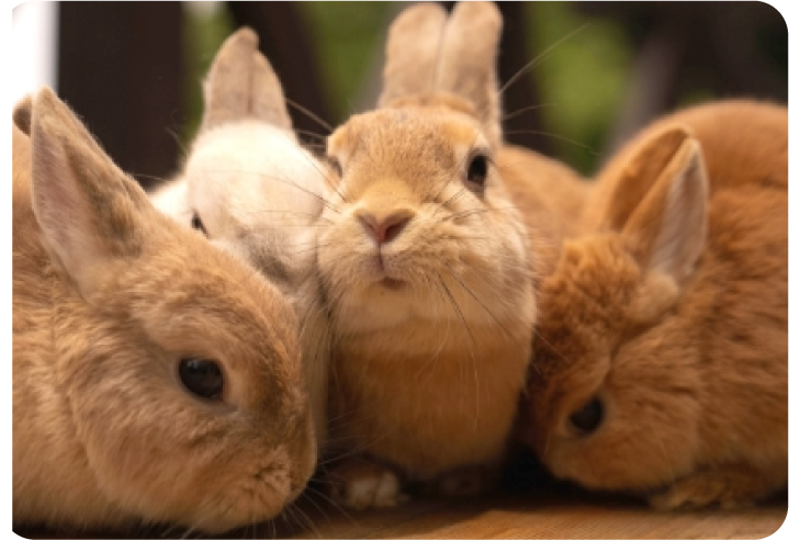 実例　日給12,000×20日＝240,000円＋歩合35万＝54万円