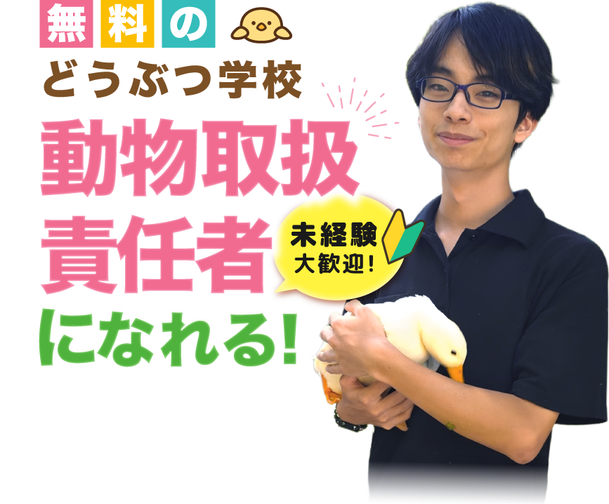 スタッフ募集　月50万円以上稼げる　未経験者大歓迎！