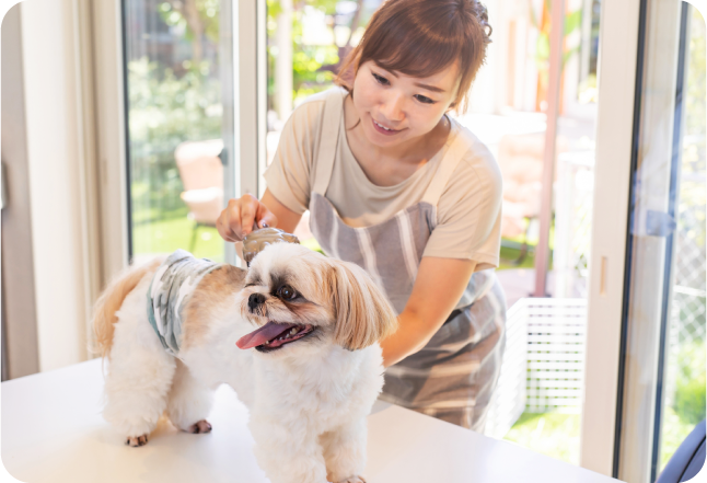 動物取扱責任者