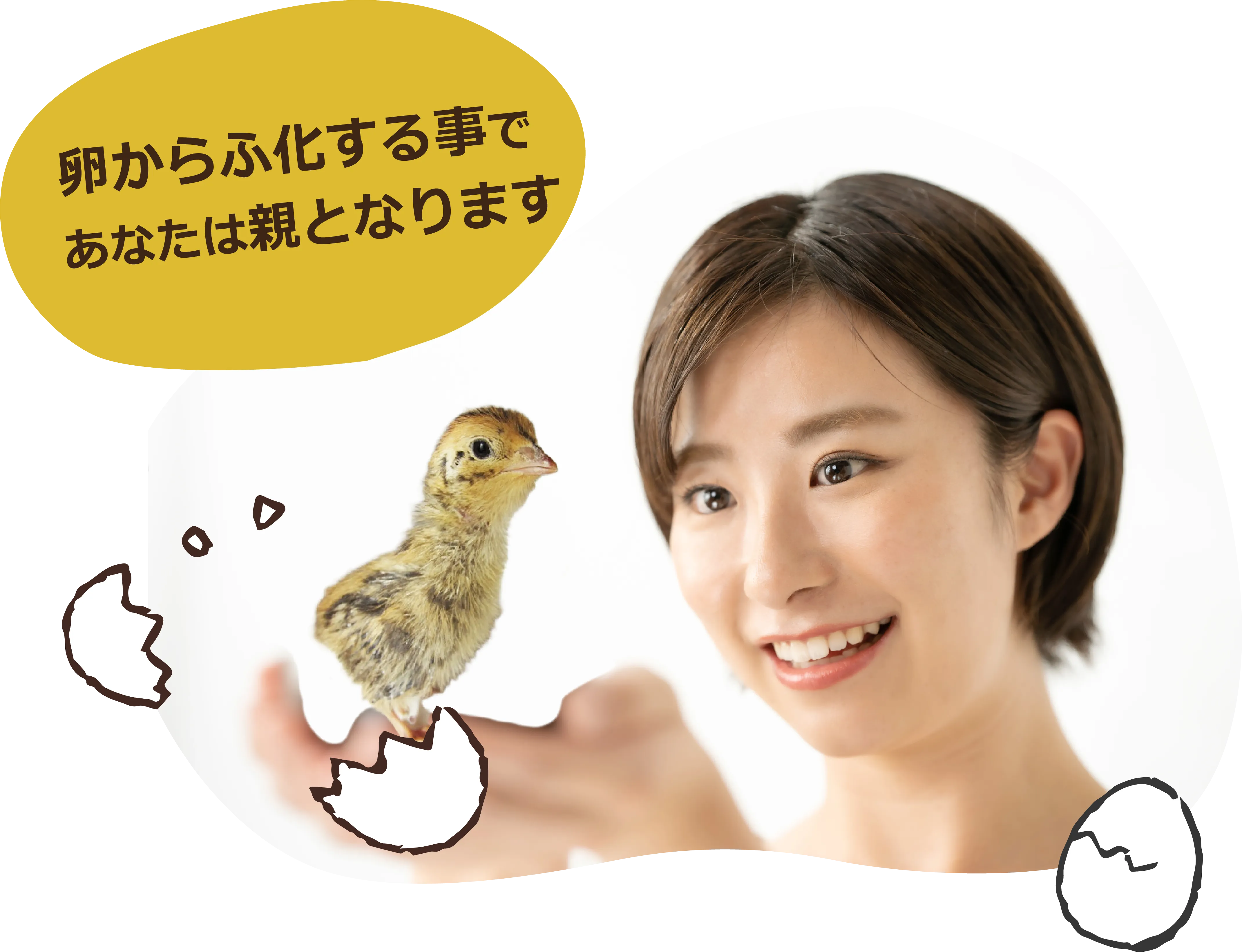 卵からふ化する事で、あなたは親となります